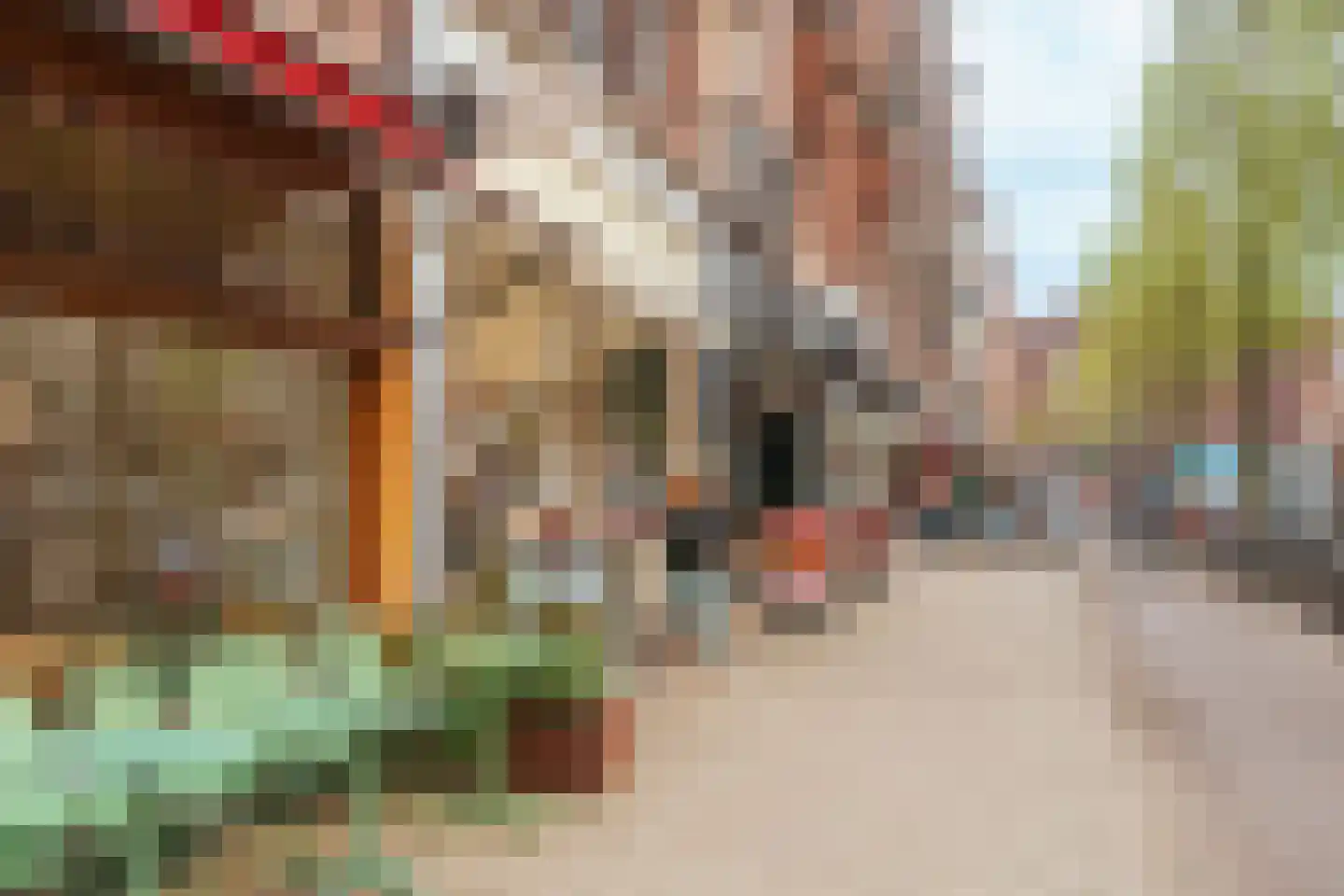 Johannes Vermeerstraat 28 Amsterdam thumbnail 63