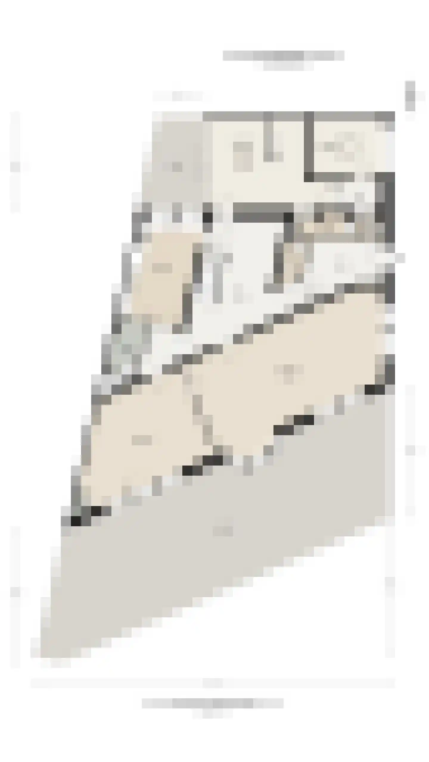 Johannes Vermeerstraat 28 Amsterdam thumbnail 68
