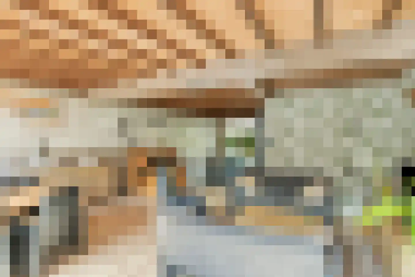 Johannes Vermeerstraat 29 Voorthuizen thumbnail 10