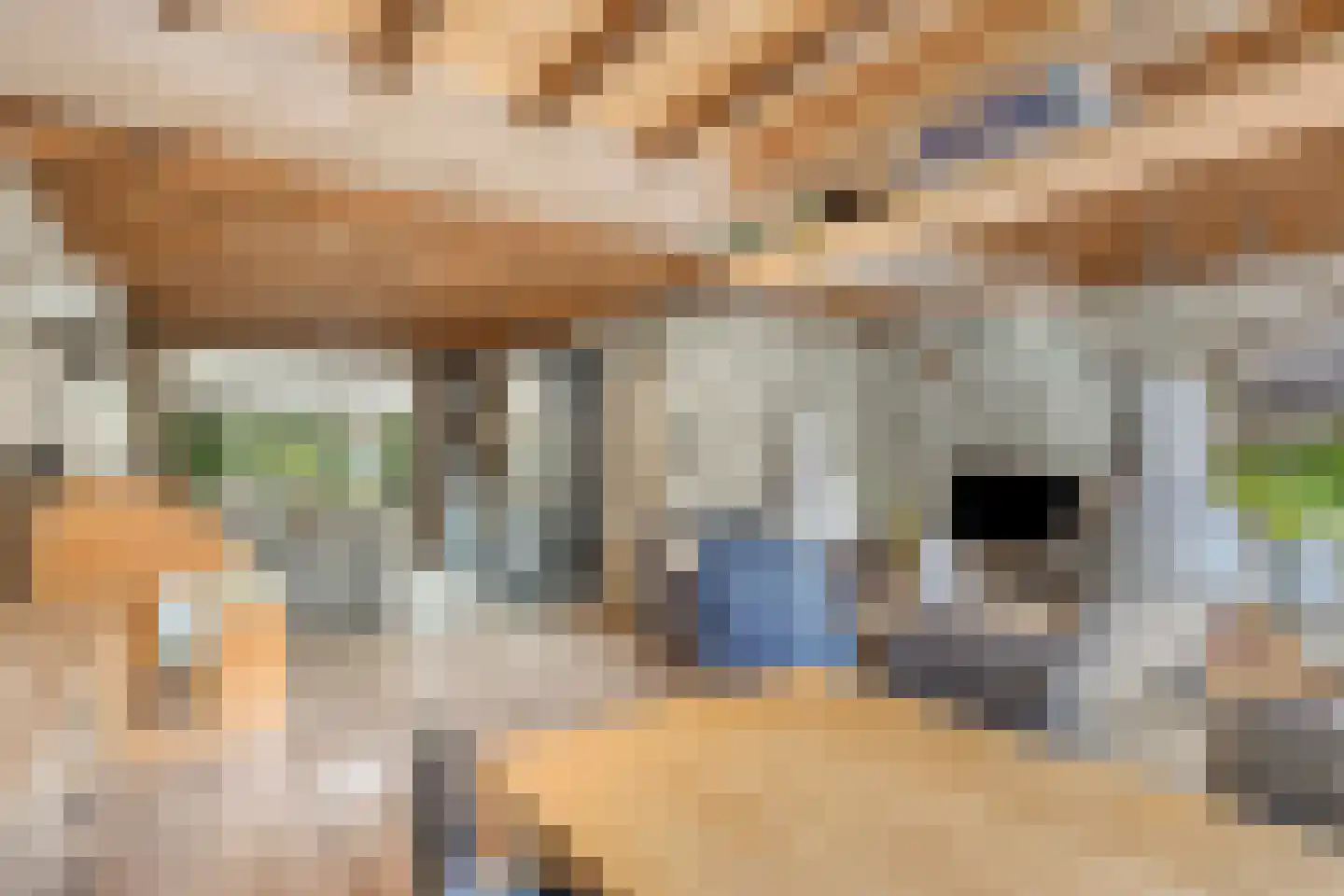 Johannes Vermeerstraat 29 Voorthuizen thumbnail 11