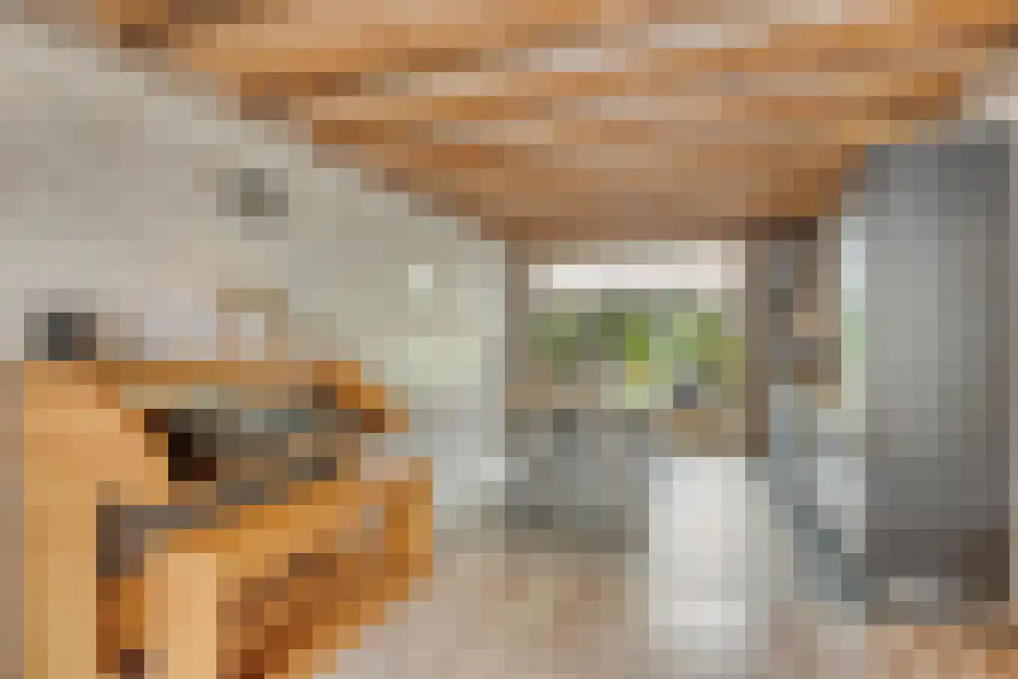 Johannes Vermeerstraat 29 Voorthuizen thumbnail 12