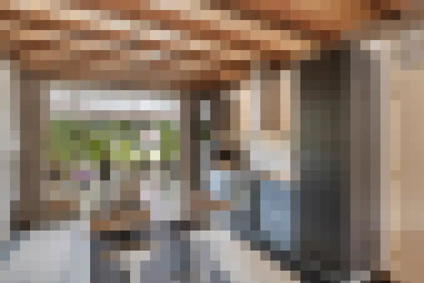Johannes Vermeerstraat 29 Voorthuizen thumbnail 13