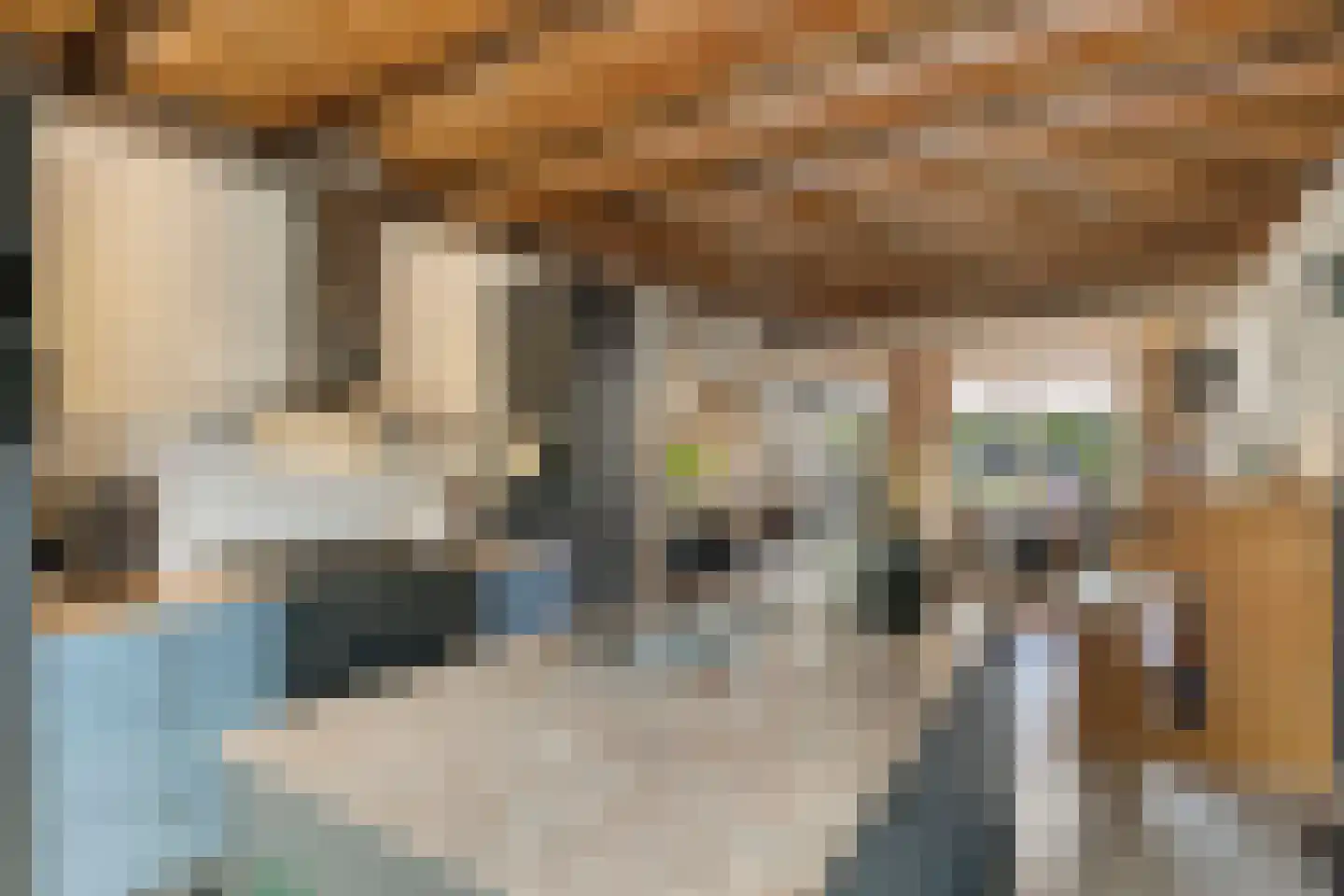 Johannes Vermeerstraat 29 Voorthuizen thumbnail 14