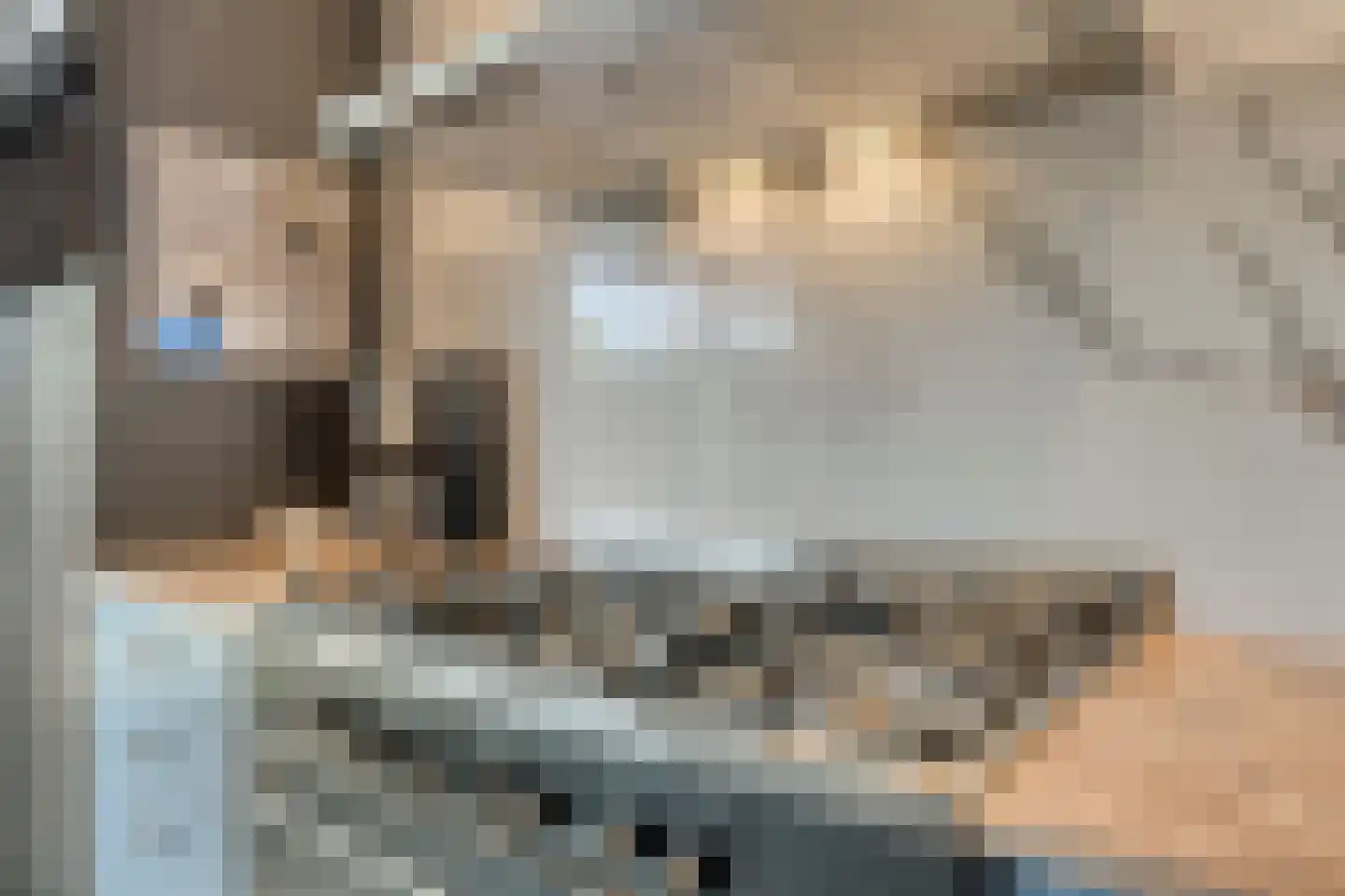 Johannes Vermeerstraat 29 Voorthuizen thumbnail 16