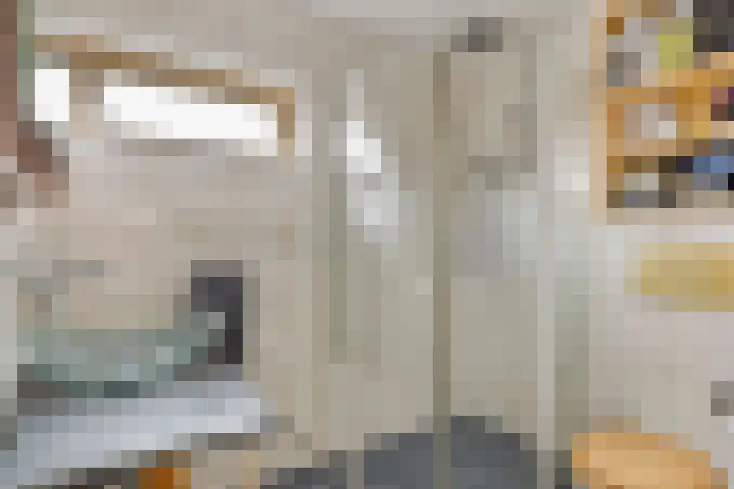 Johannes Vermeerstraat 29 Voorthuizen thumbnail 20