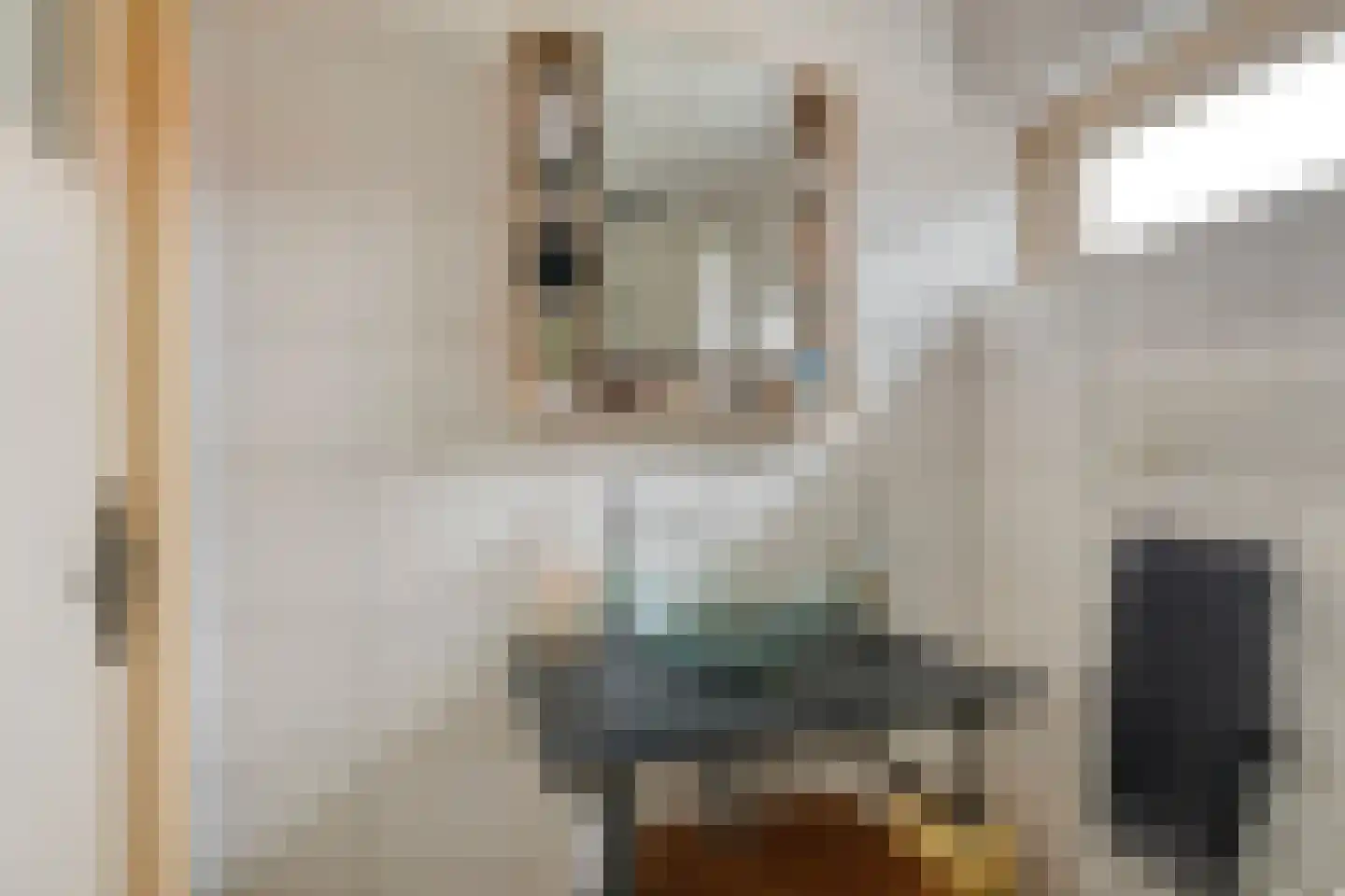 Johannes Vermeerstraat 29 Voorthuizen thumbnail 21