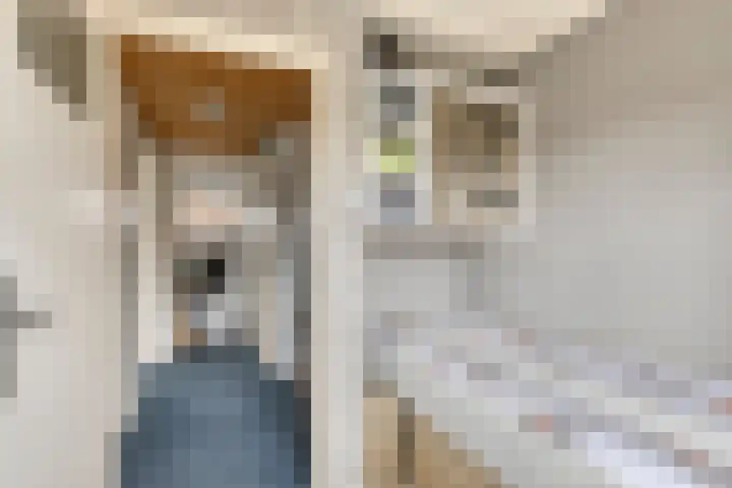 Johannes Vermeerstraat 29 Voorthuizen thumbnail 25