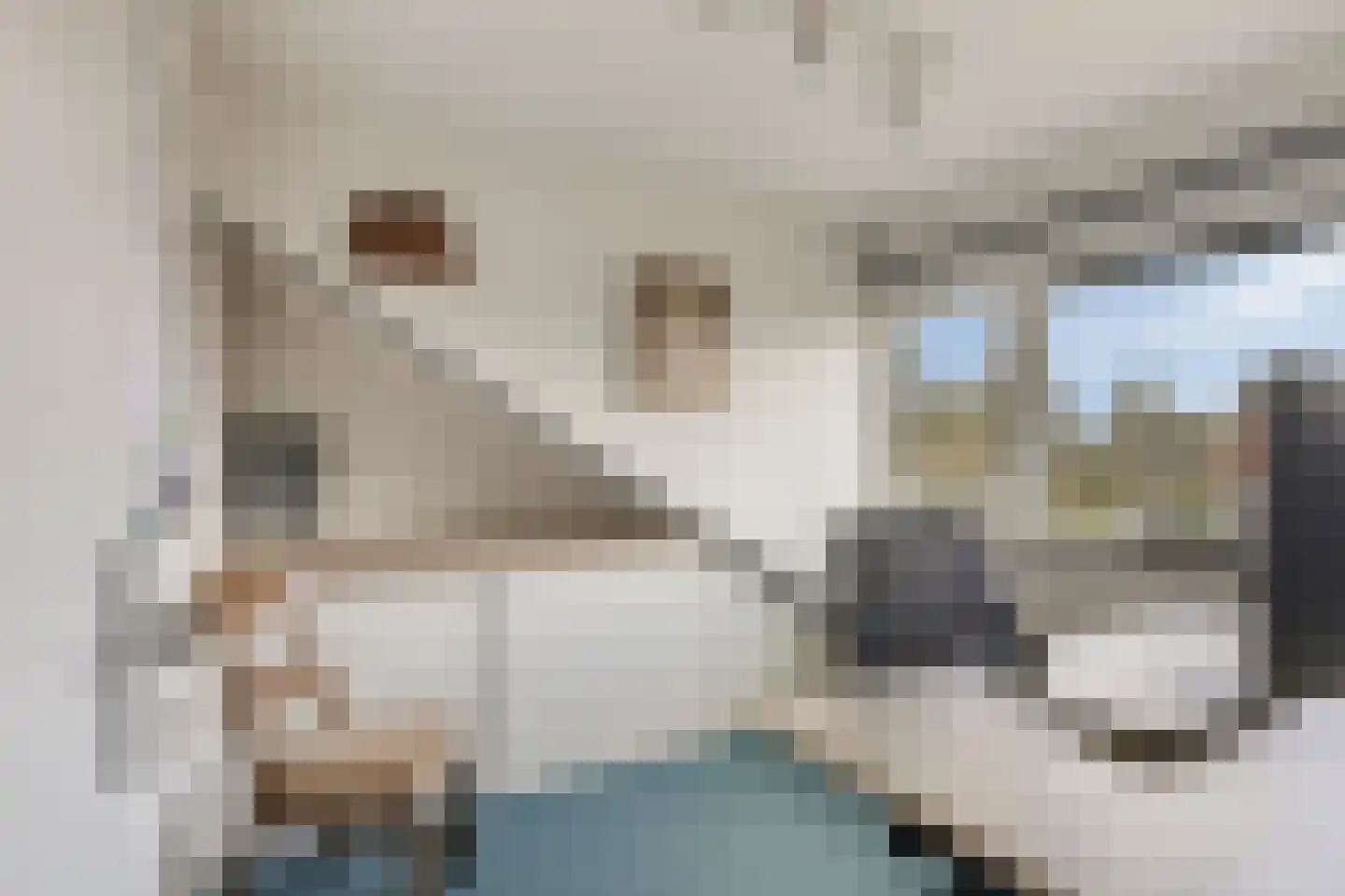 Johannes Vermeerstraat 29 Voorthuizen thumbnail 30