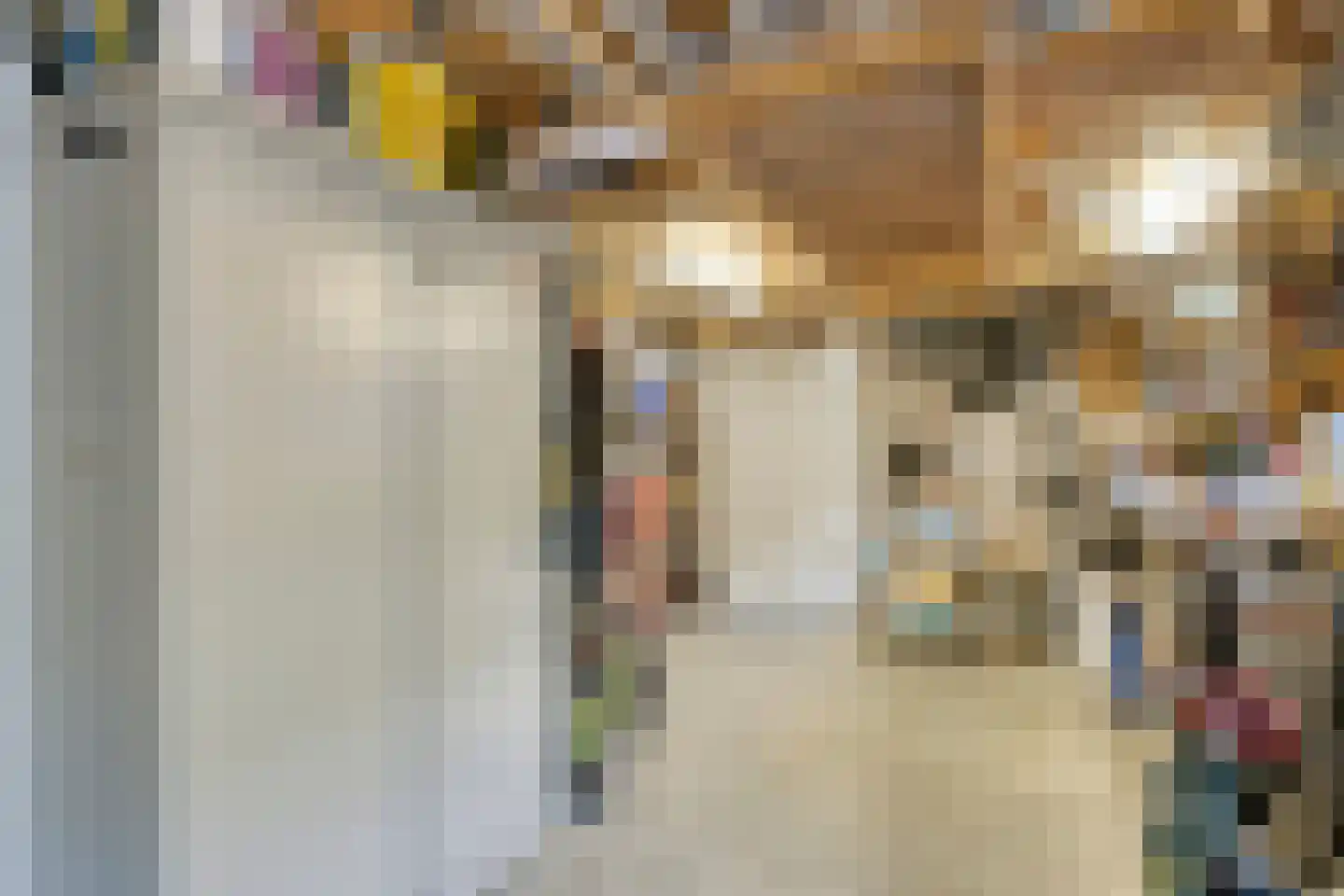 Johannes Vermeerstraat 29 Voorthuizen thumbnail 36