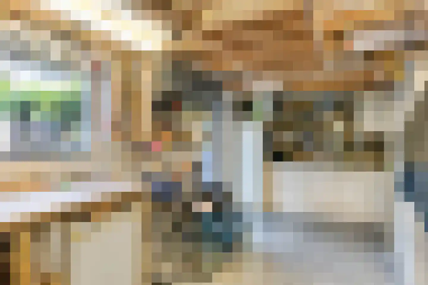 Johannes Vermeerstraat 29 Voorthuizen thumbnail 37