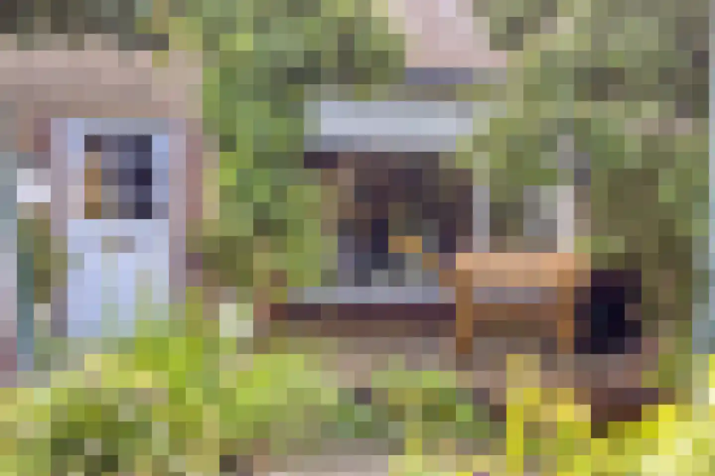 Johannes Vermeerstraat 29 Voorthuizen thumbnail 4