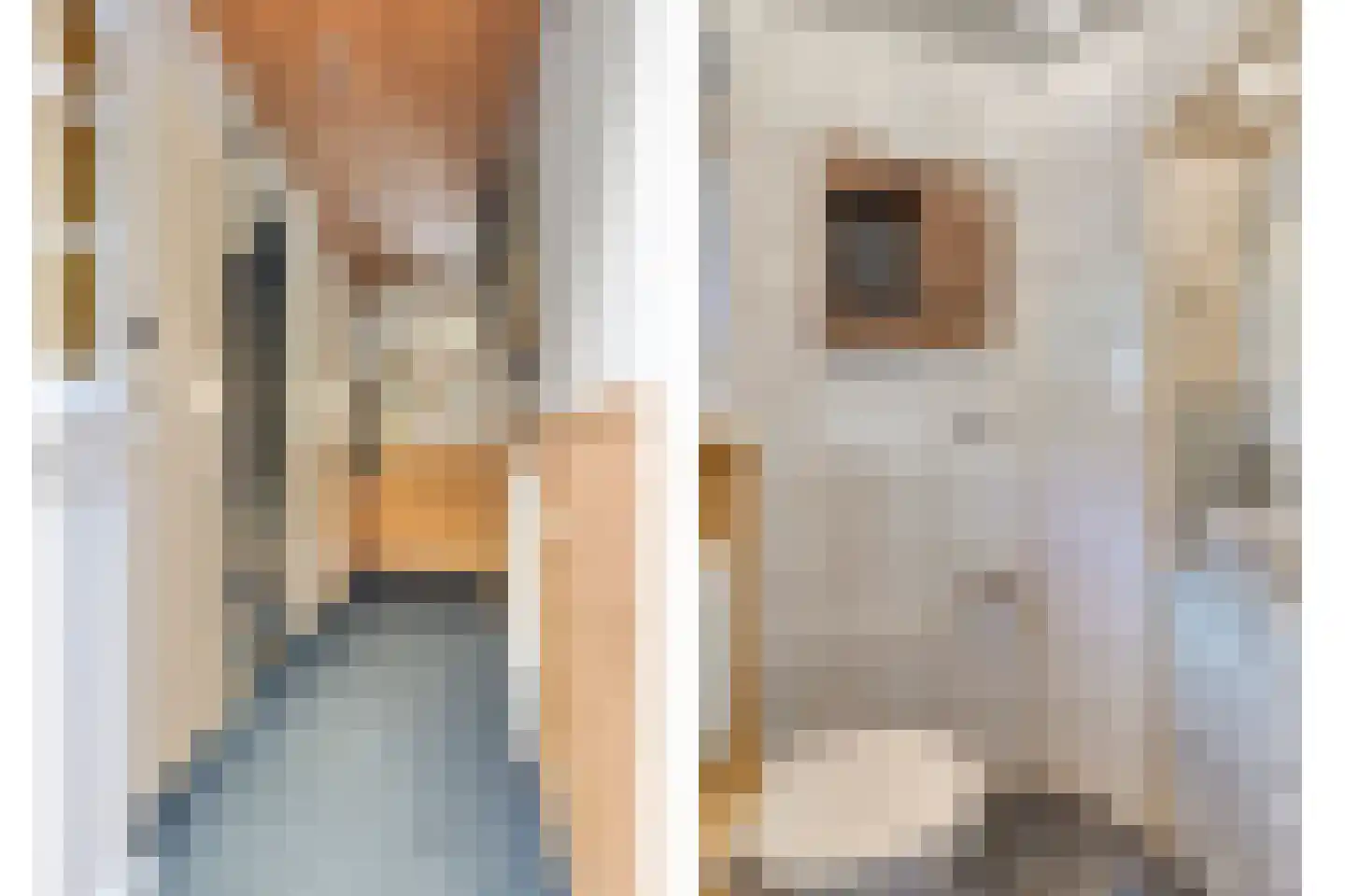 Johannes Vermeerstraat 29 Voorthuizen thumbnail 5