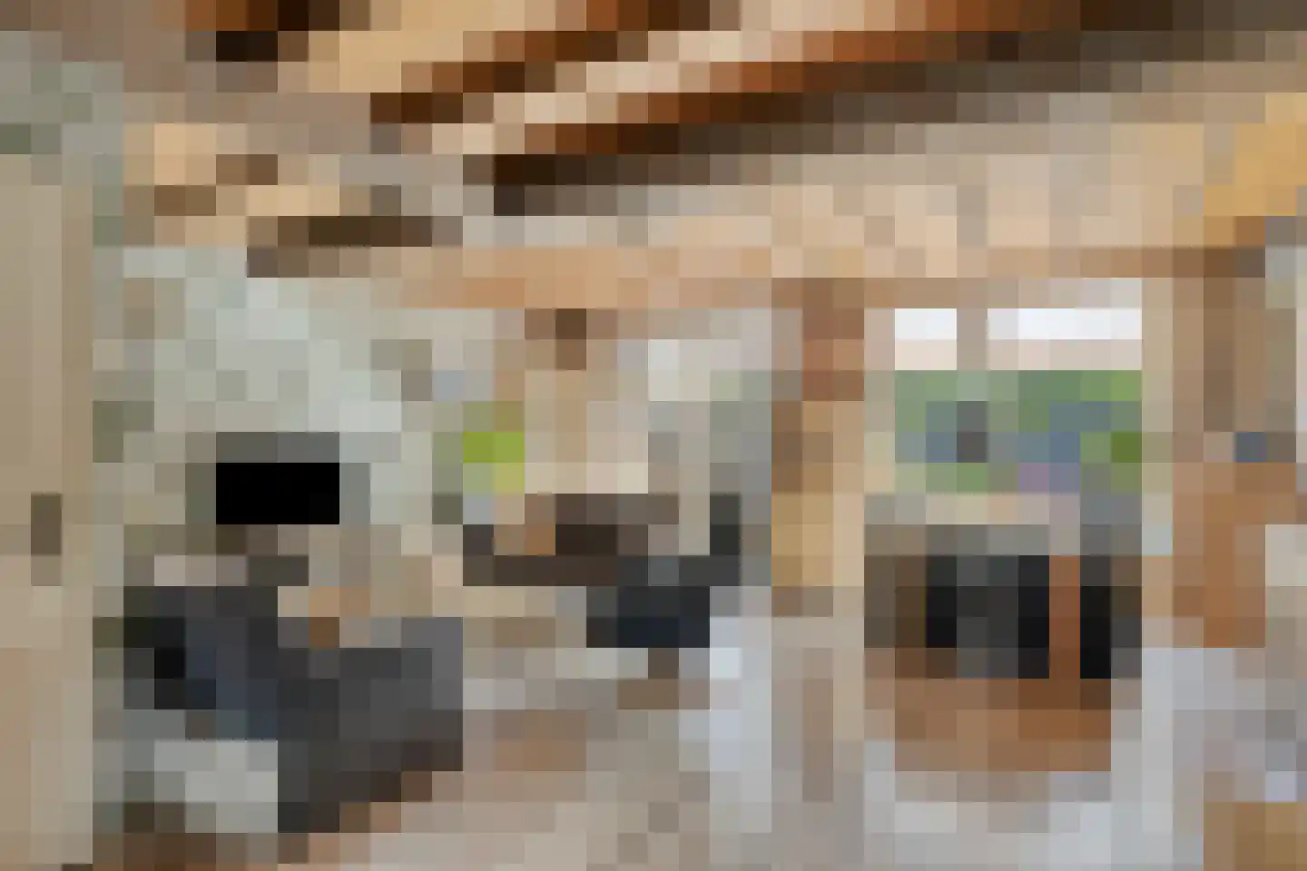 Johannes Vermeerstraat 29 Voorthuizen thumbnail 6