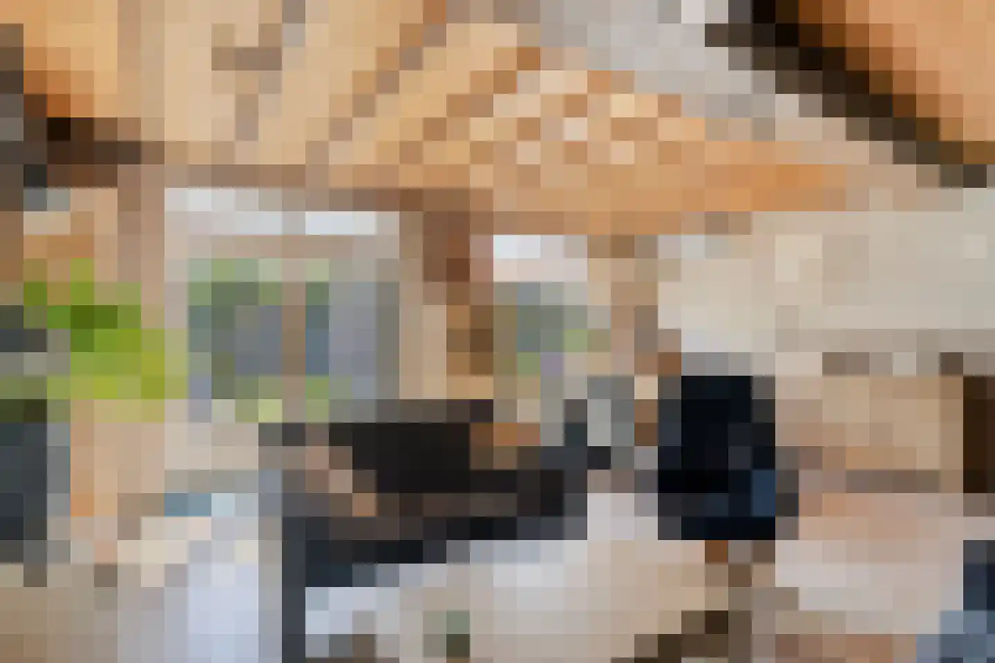 Johannes Vermeerstraat 29 Voorthuizen thumbnail 7