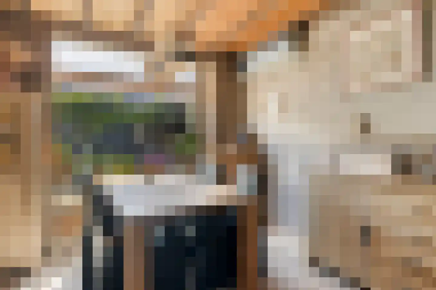 Johannes Vermeerstraat 29 Voorthuizen thumbnail 8