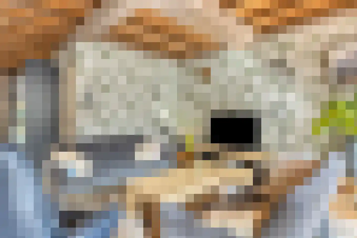 Johannes Vermeerstraat 29 Voorthuizen thumbnail 9
