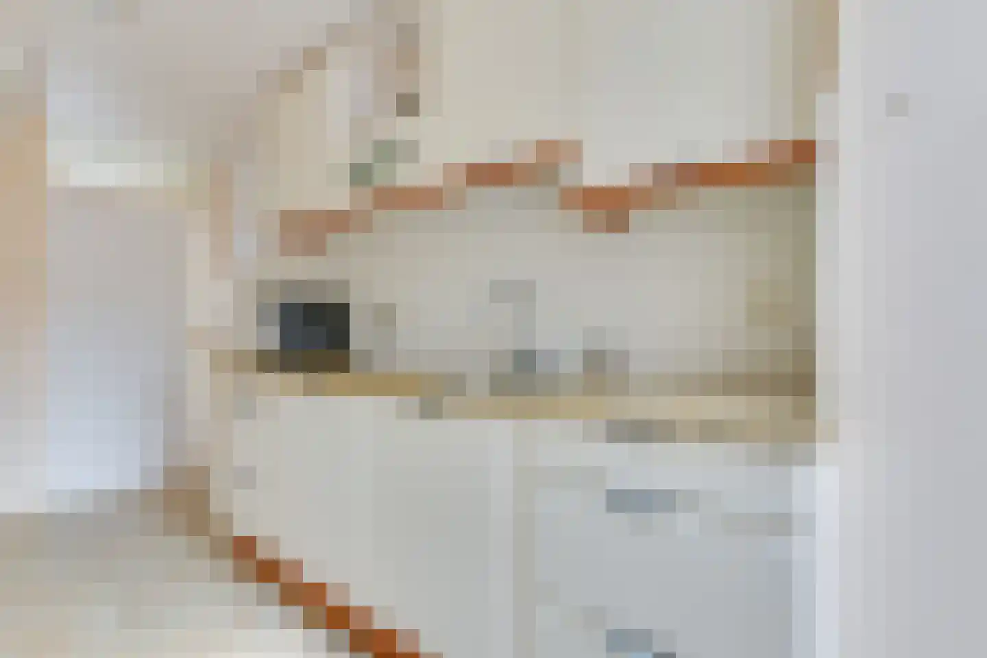 Johannes Vermeerstraat 3 Akersloot thumbnail 16