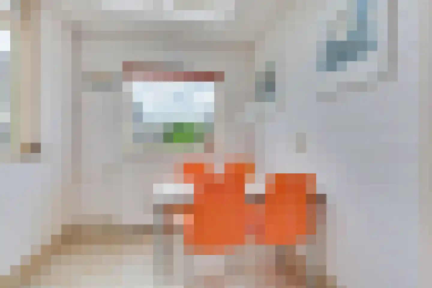Johannes Vermeerstraat 3 Akersloot thumbnail 18