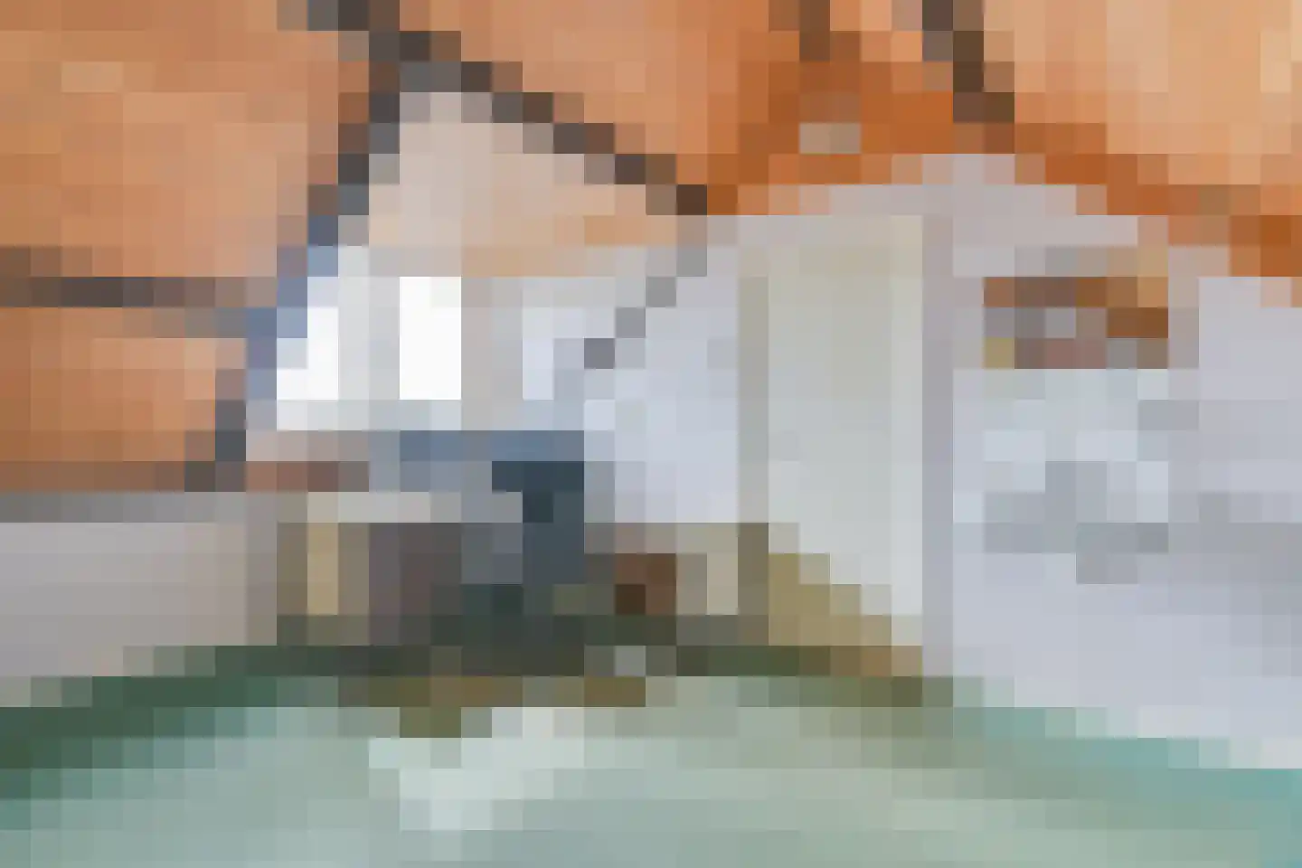 Johannes Vermeerstraat 3 Akersloot thumbnail 36