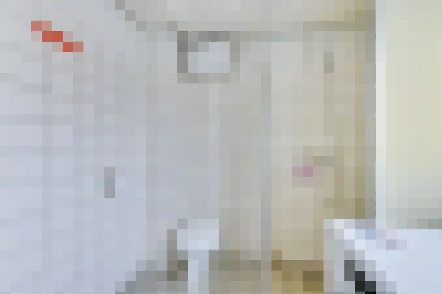 Johannes Vermeerstraat 3 Akersloot thumbnail 5