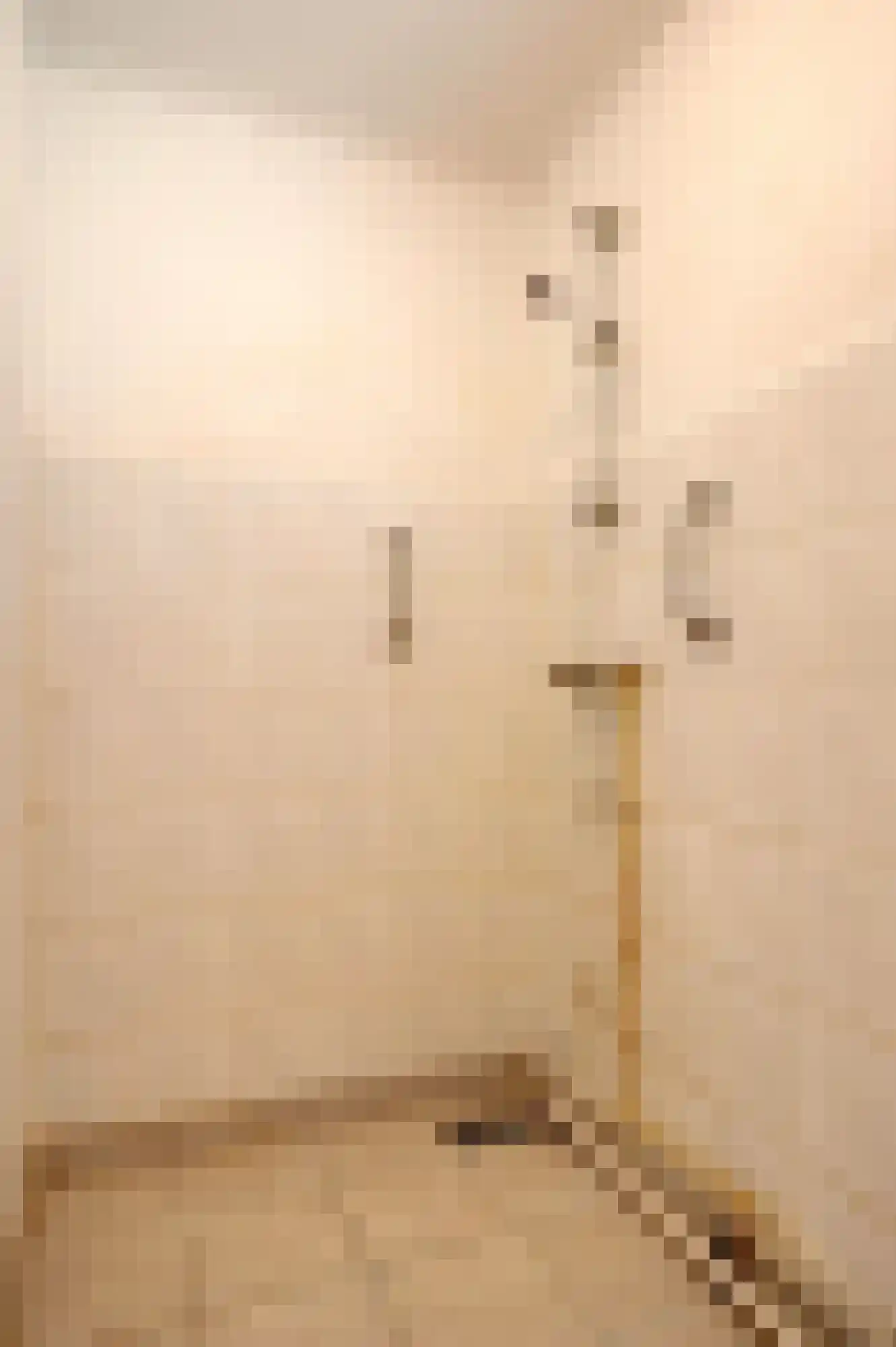Johannes Vermeerstraat 3 Hoogezand thumbnail 21