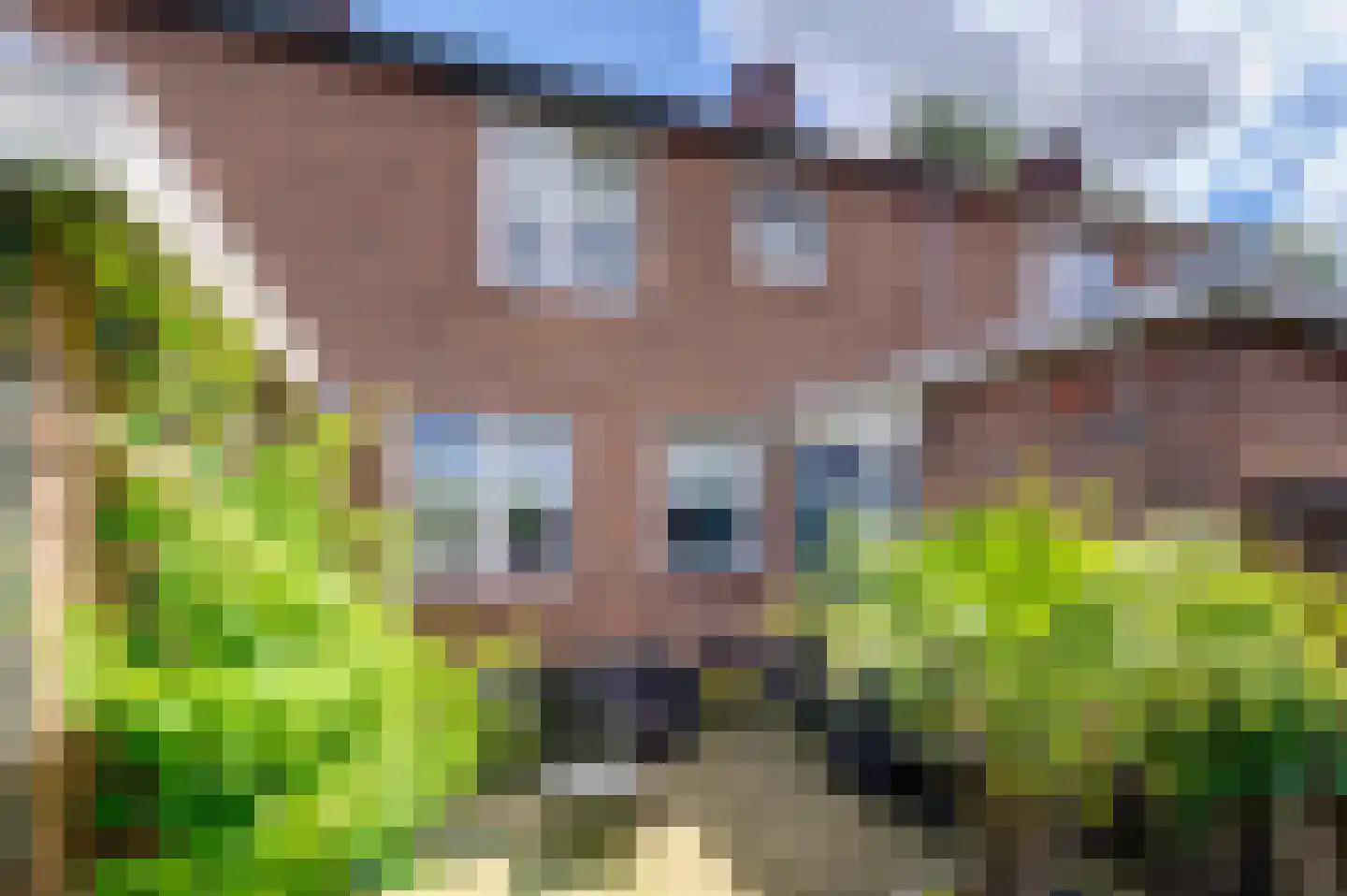 Johannes Vermeerstraat 3 Hoogezand thumbnail 7