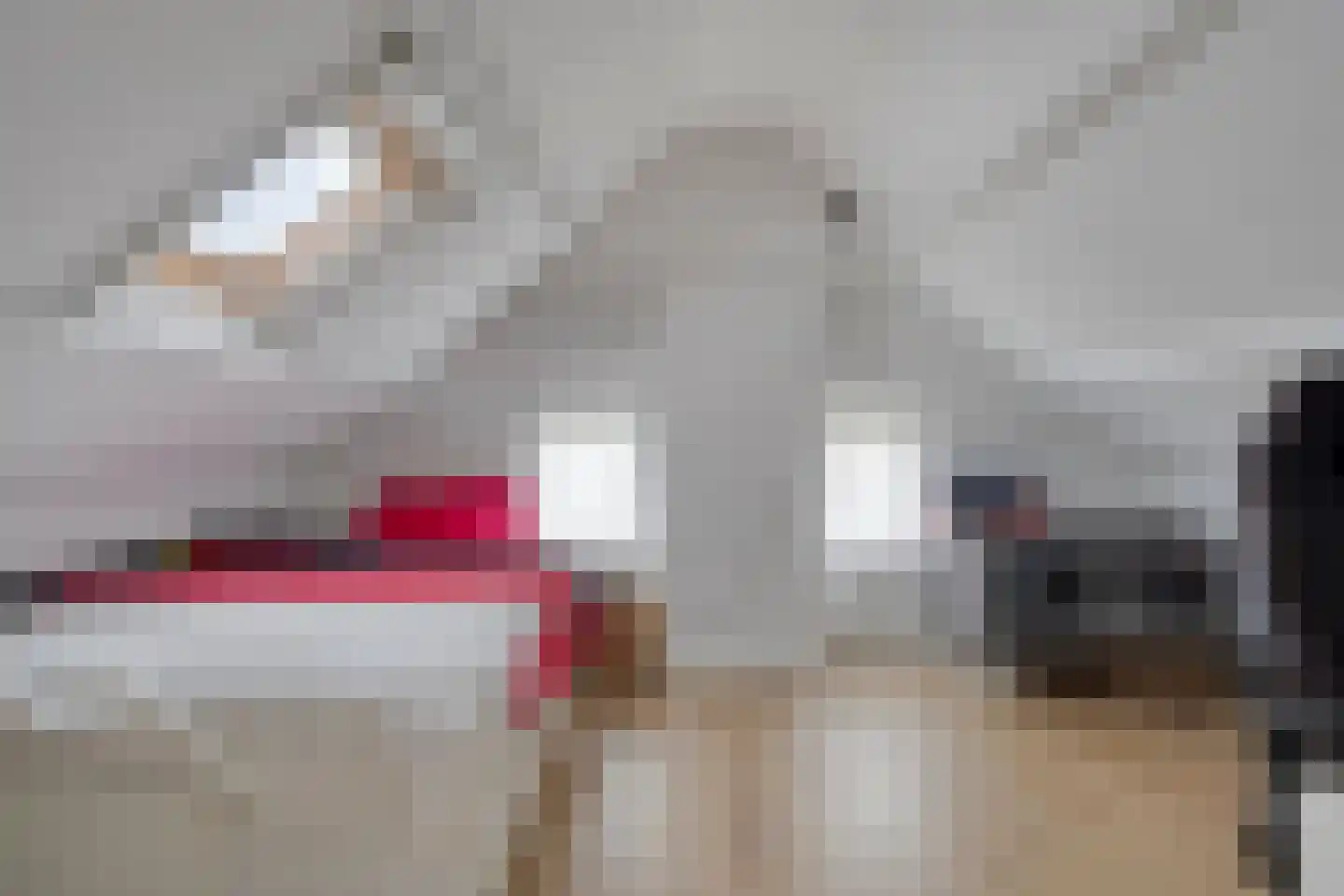 Johannes Vermeerstraat 30 Terneuzen thumbnail 23