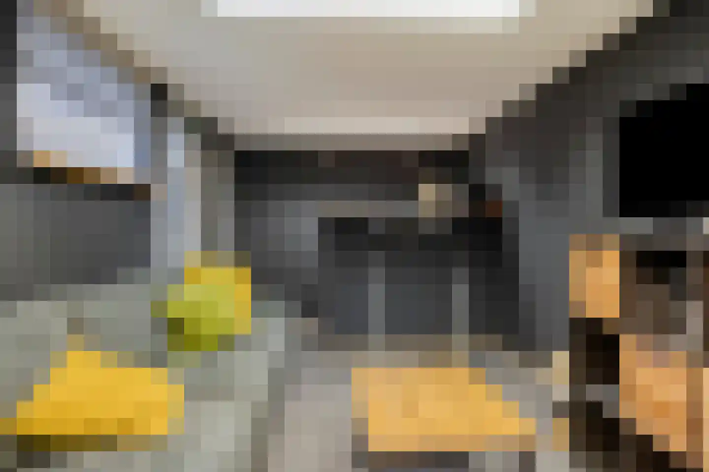 Johannes Vermeerstraat 30 Terneuzen thumbnail 30