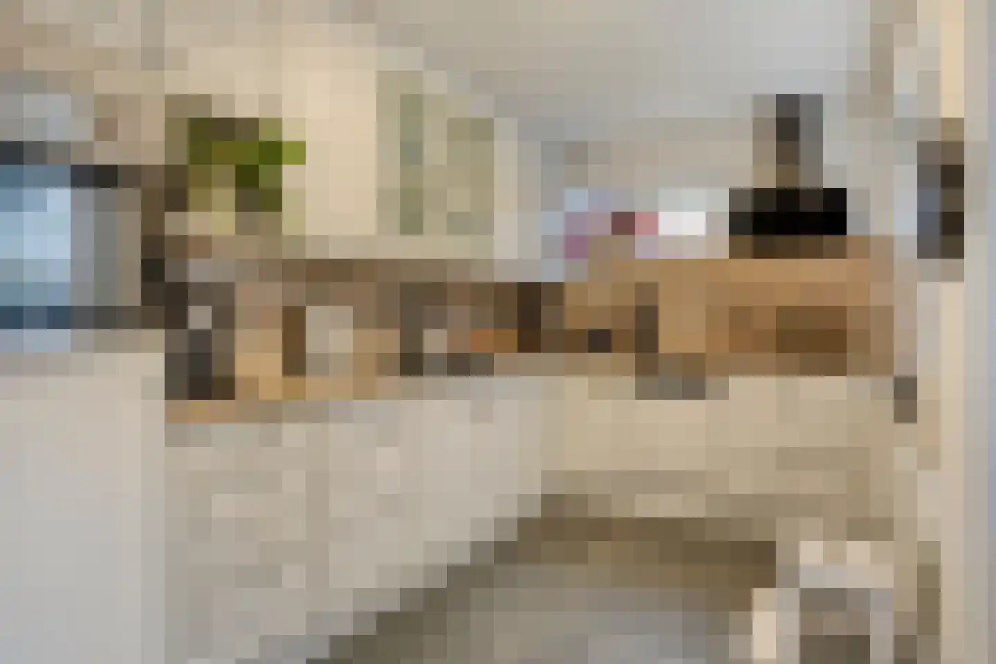 Johannes Vermeerstraat 30 Terneuzen thumbnail 7