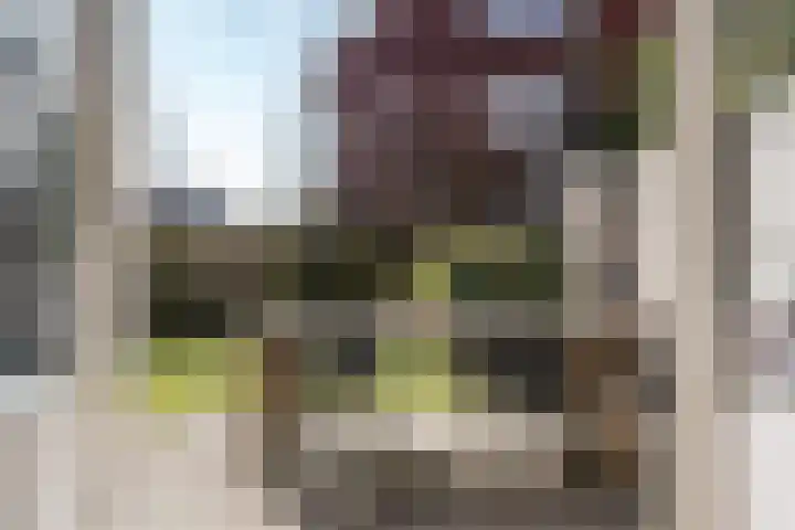 Johannes Vermeerstraat 37 Heemstede thumbnail 18