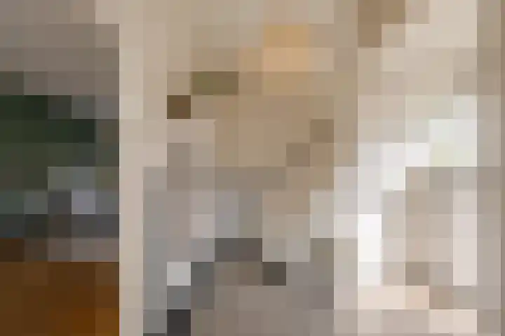 Johannes Vermeerstraat 37 Heemstede thumbnail 23