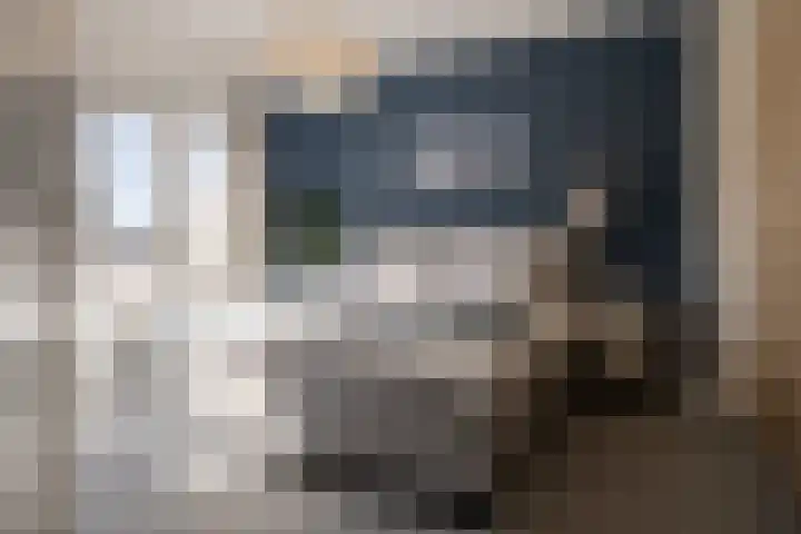 Johannes Vermeerstraat 37 Heemstede thumbnail 26