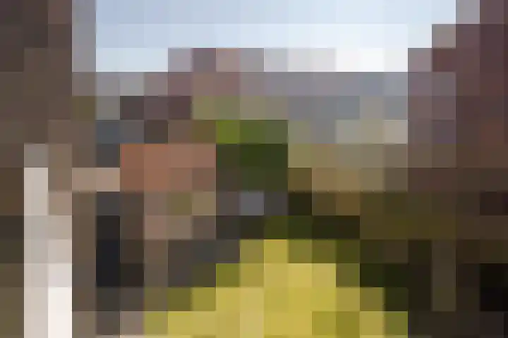 Johannes Vermeerstraat 37 Heemstede thumbnail 29