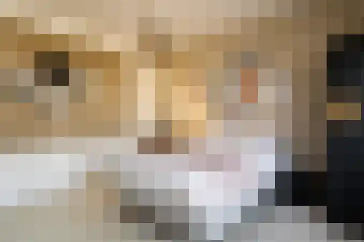 Johannes Vermeerstraat 37 Heemstede thumbnail 33