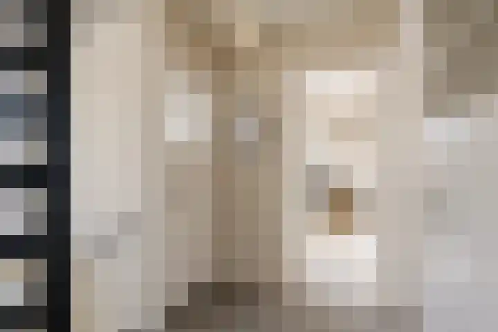 Johannes Vermeerstraat 37 Heemstede thumbnail 37