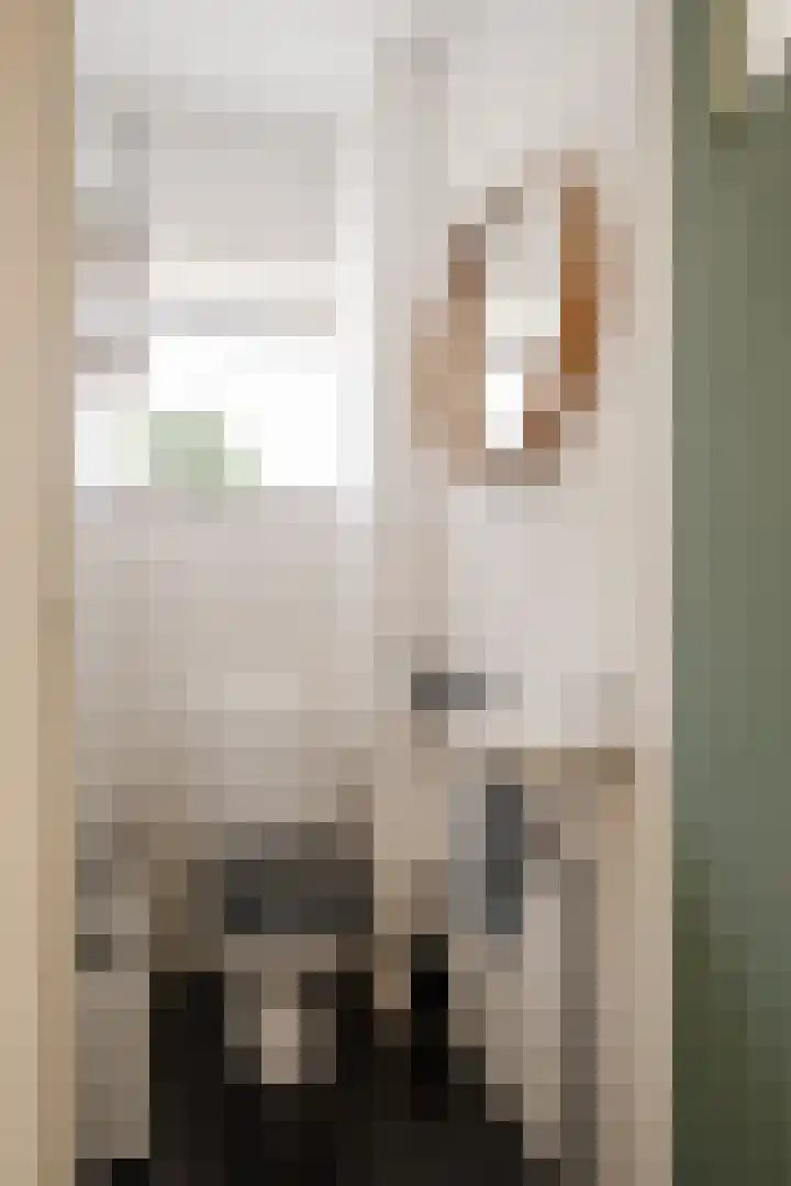 Johannes Vermeerstraat 37 Heemstede thumbnail 41