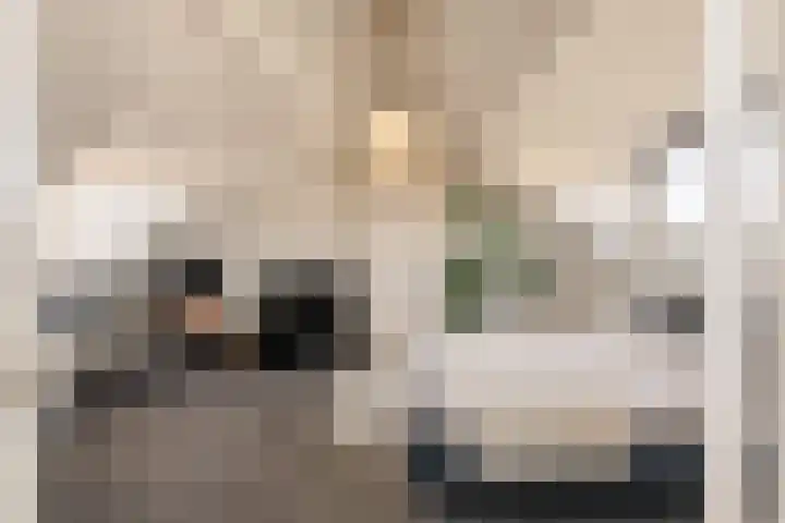 Johannes Vermeerstraat 37 Heemstede thumbnail 43