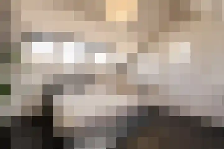 Johannes Vermeerstraat 37 Heemstede thumbnail 44