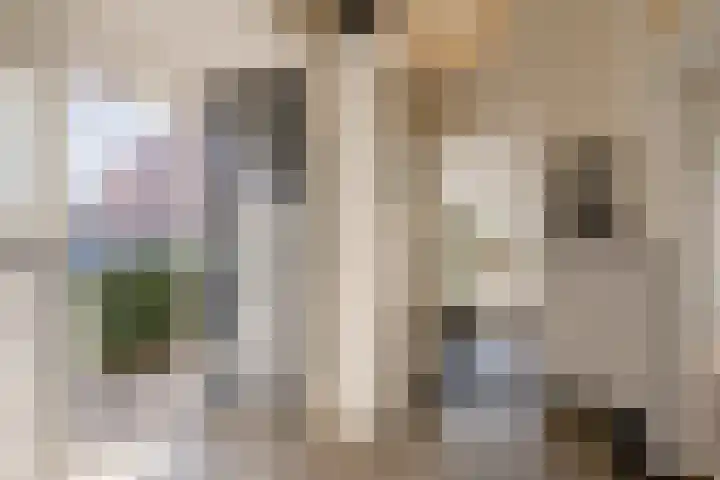 Johannes Vermeerstraat 37 Heemstede thumbnail 6