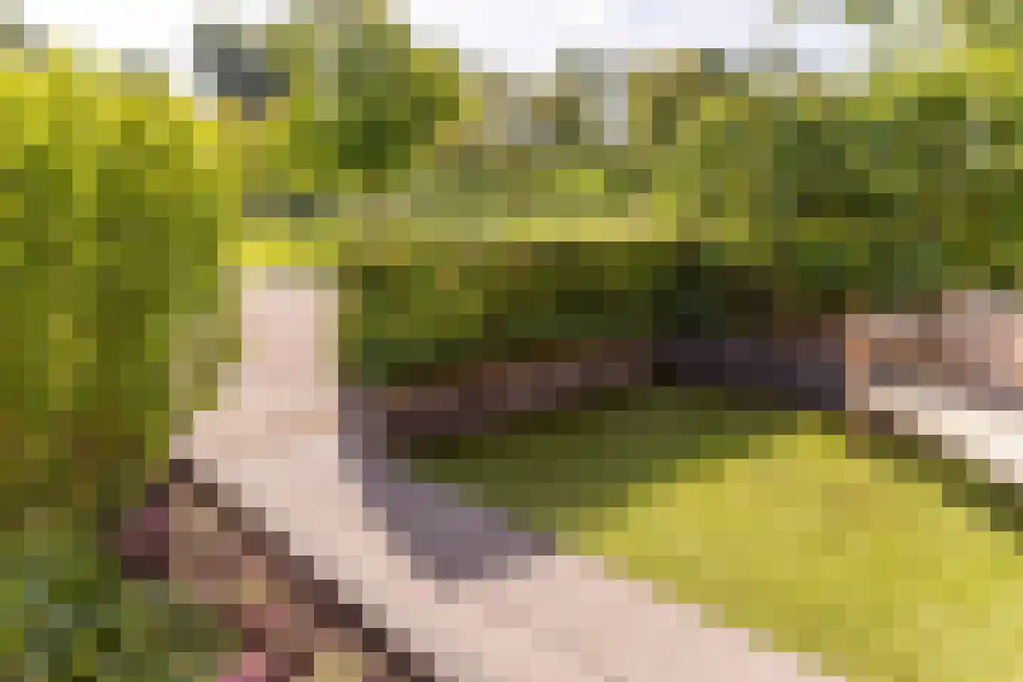Johannes Vermeerstraat 5 Kesteren thumbnail 10