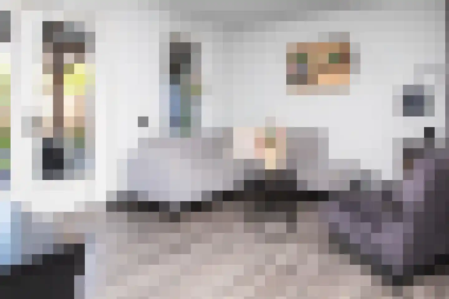 Johannes Vermeerstraat 5 Kesteren thumbnail 13