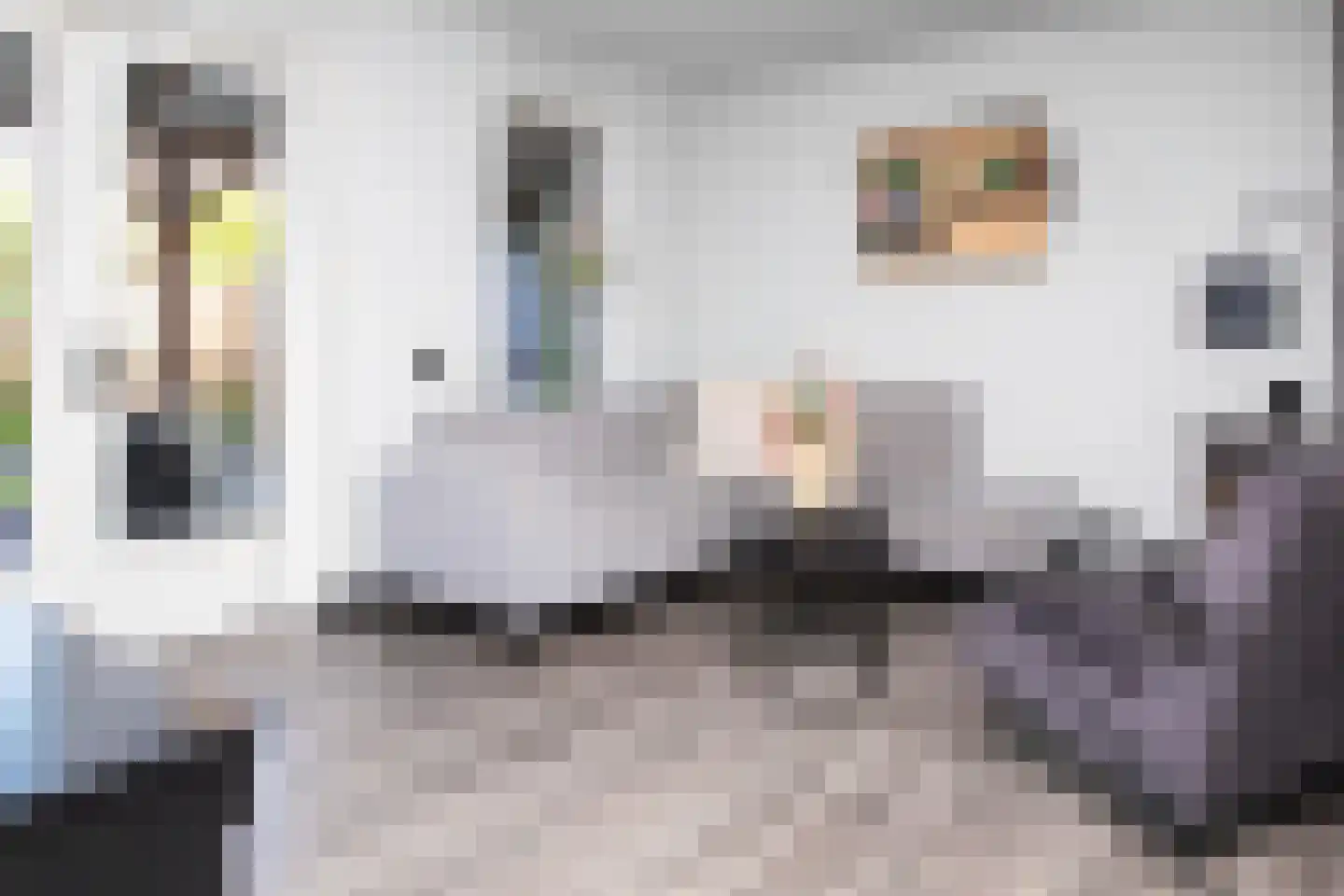 Johannes Vermeerstraat 5 Kesteren thumbnail 13