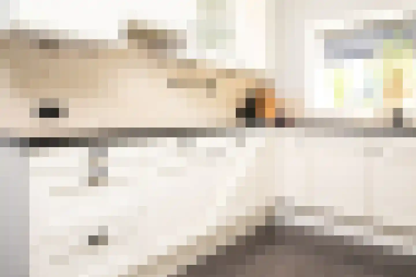 Johannes Vermeerstraat 5 Kesteren thumbnail 19