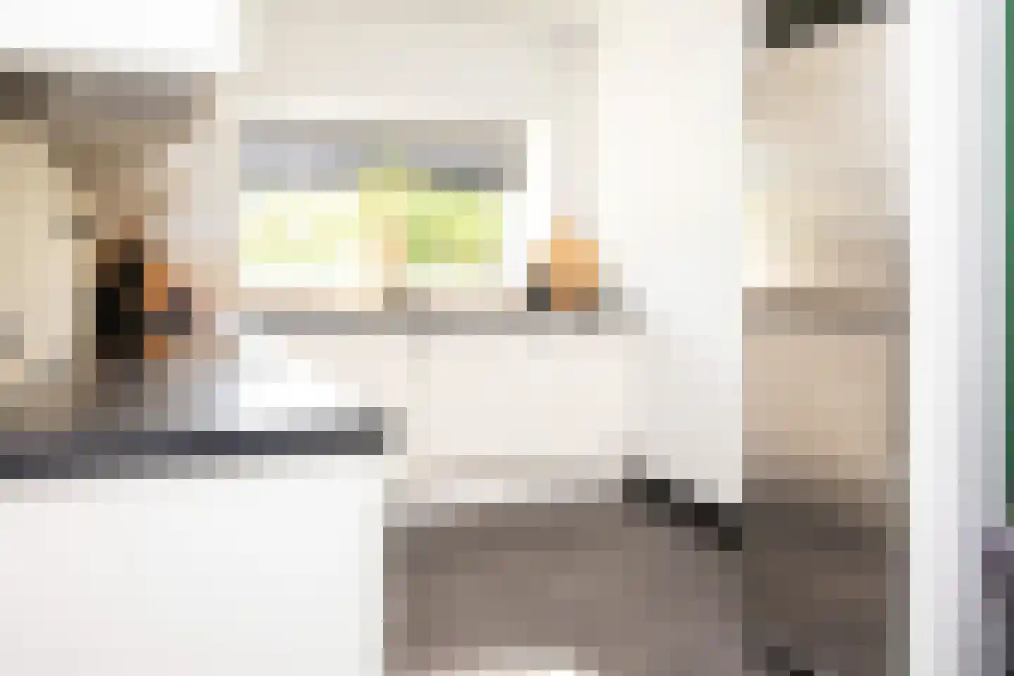 Johannes Vermeerstraat 5 Kesteren thumbnail 20