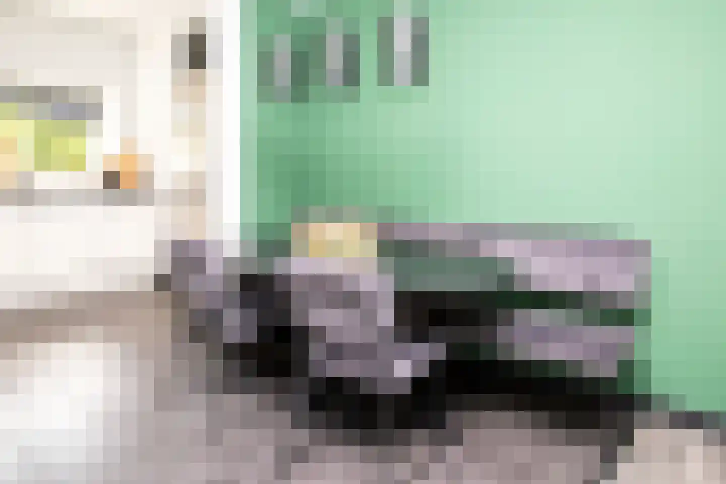 Johannes Vermeerstraat 5 Kesteren thumbnail 22