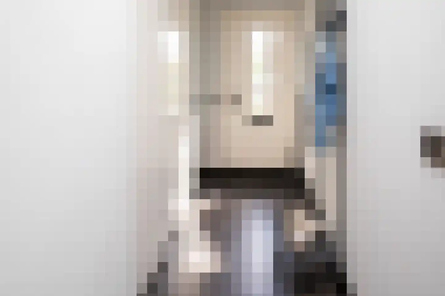 Johannes Vermeerstraat 5 Kesteren thumbnail 23