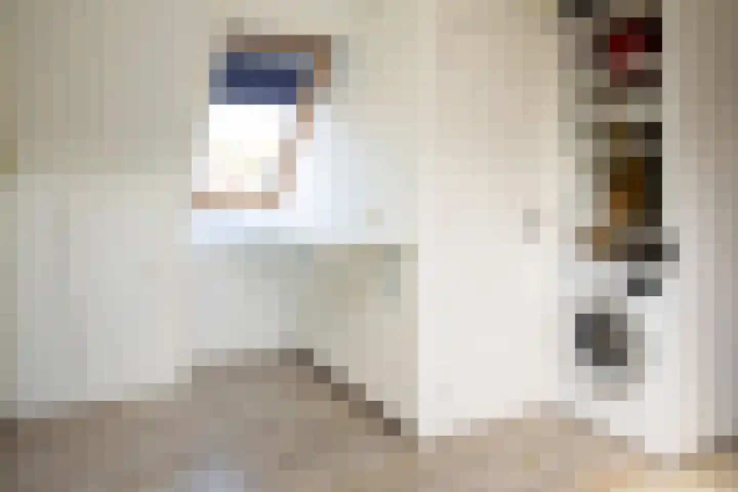 Johannes Vermeerstraat 5 Kesteren thumbnail 40