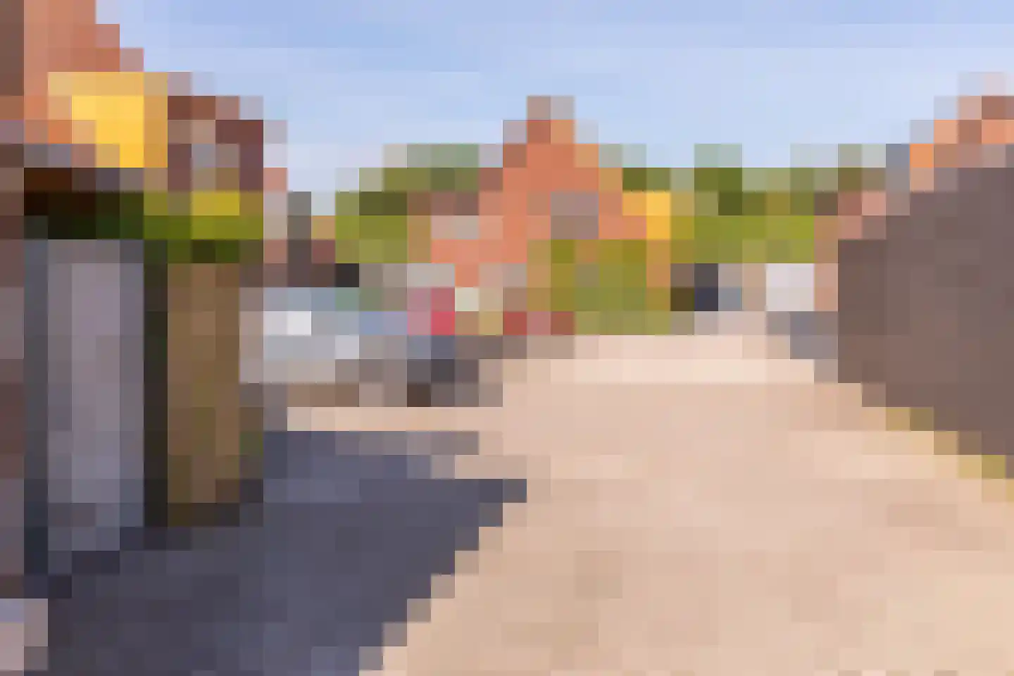 Johannes Vermeerstraat 5 Kesteren thumbnail 43