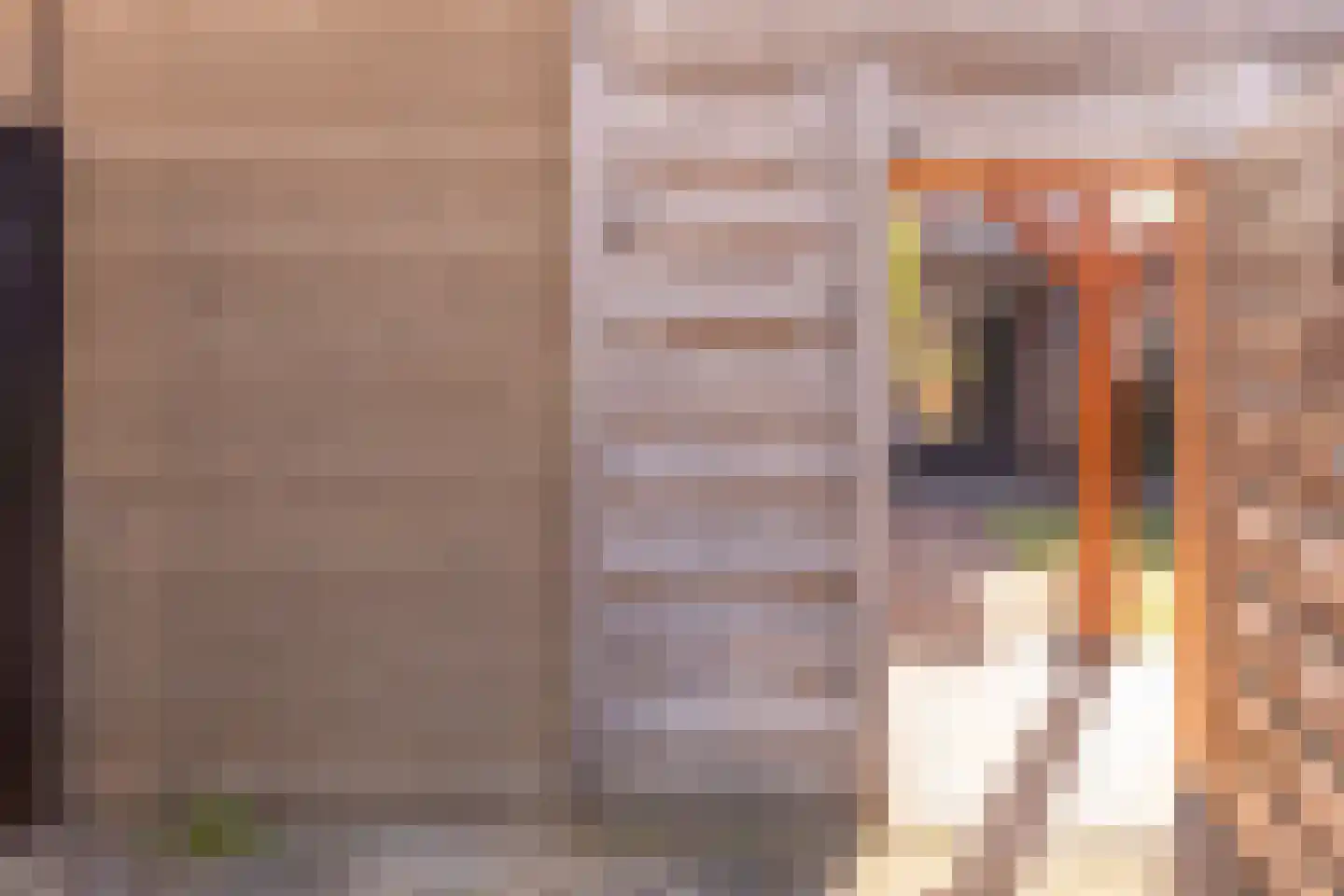 Johannes Vermeerstraat 5 Kesteren thumbnail 44