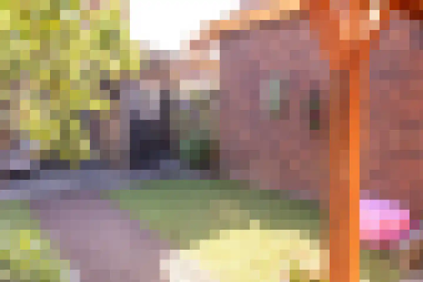 Johannes Vermeerstraat 5 Kesteren thumbnail 46